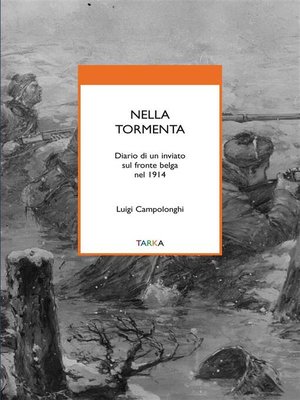 cover image of Nella tormenta